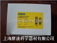 美国伯乐bio-rad cfx96专用八联管tls0851，tcs0803 美国伯乐bio-rad cfx96专用八联管tls0851，tcs0803