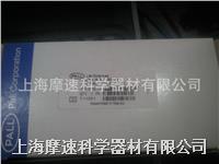 美国pall 66215 a/c玻璃纤维滤膜 1um 47mm 100片 66215