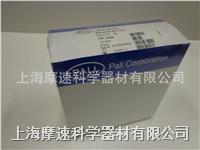 pall 4308玻璃纤维膜**装滤器1um37mm直径 4308